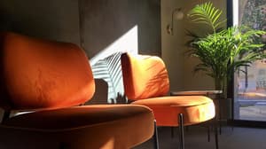 thumbnail: Reception