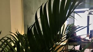 thumbnail: Reception