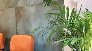 thumbnail: Reception