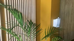 thumbnail: Reception