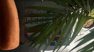 thumbnail: Reception