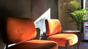 thumbnail: Reception
