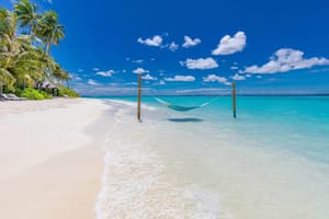 thumbnail: Beach