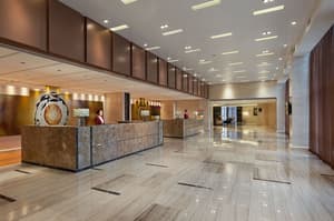thumbnail: Reception