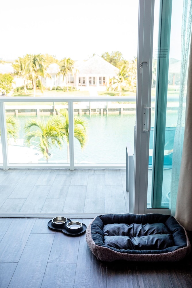 Pet-friendly amenities