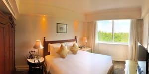 thumbnail: View from room