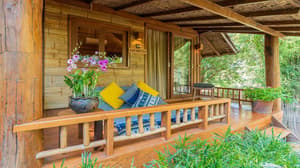 thumbnail: Garden view