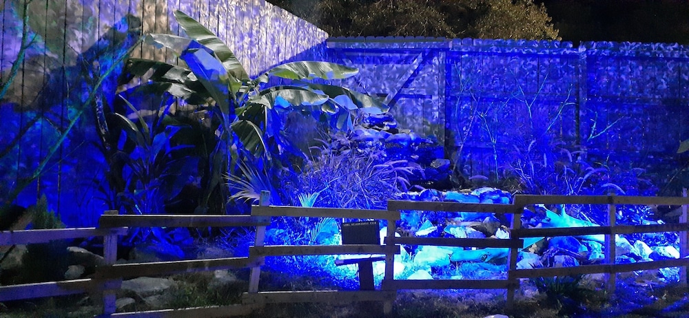 Fountain