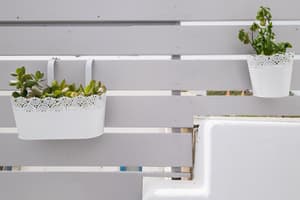 thumbnail: Exterior