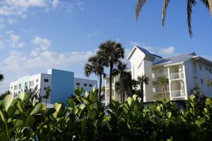 thumbnail: Property grounds