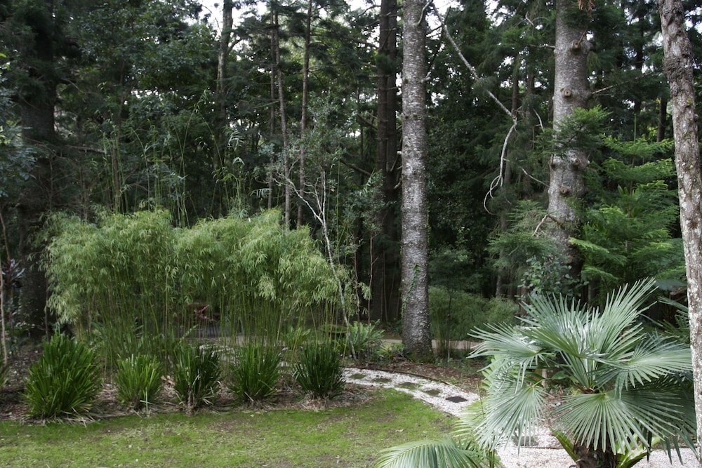 Courtyard view