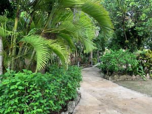 thumbnail: Property grounds