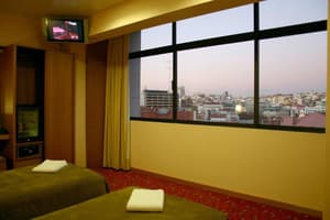 thumbnail: General view