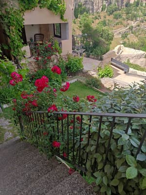 thumbnail: Terrace/patio