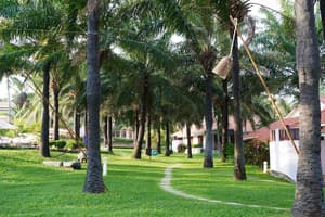 thumbnail: Garden