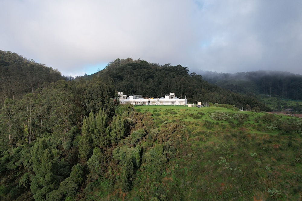 Primary image