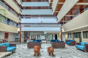 thumbnail: Reception