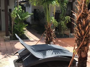 thumbnail: Garden