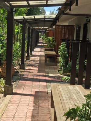 thumbnail: Garden