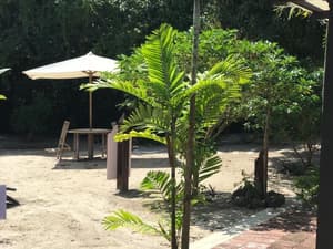 thumbnail: Garden