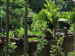 thumbnail: Garden