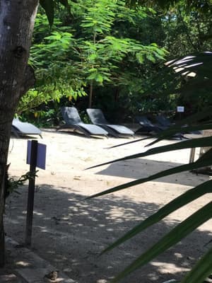 thumbnail: Garden