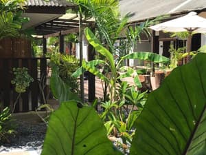 thumbnail: Garden