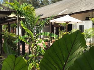 thumbnail: Garden