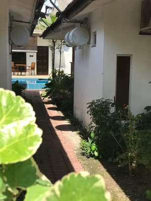 thumbnail: Garden