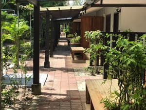 thumbnail: Garden