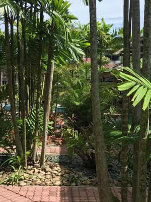thumbnail: Garden