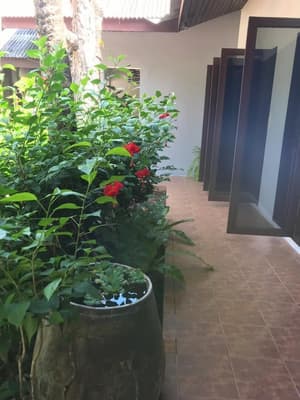 thumbnail: Garden