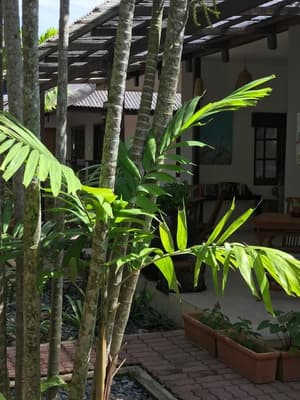 thumbnail: Garden