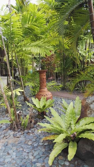 thumbnail: Garden