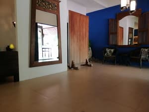thumbnail: Reception