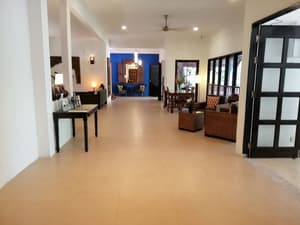thumbnail: Reception