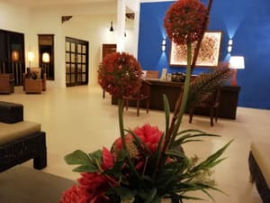 thumbnail: Reception