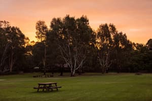 thumbnail: Garden view