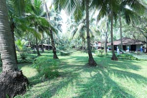 thumbnail: Garden