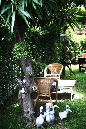 thumbnail: Garden