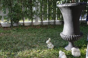 thumbnail: Garden