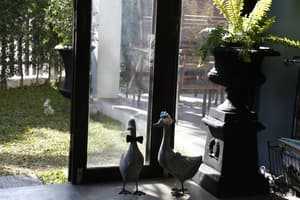 thumbnail: Interior
