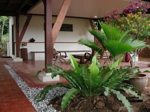 thumbnail: Terrace/patio