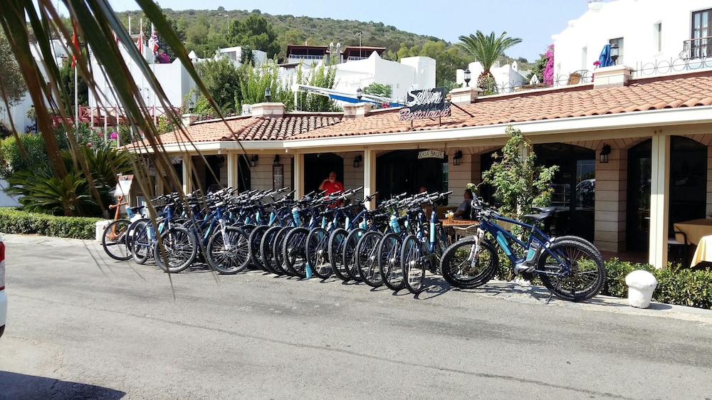 Bicycling