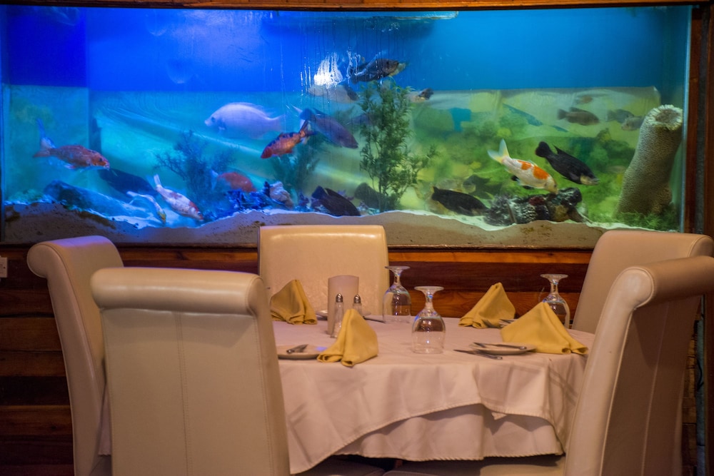 Restaurant-cafeteria