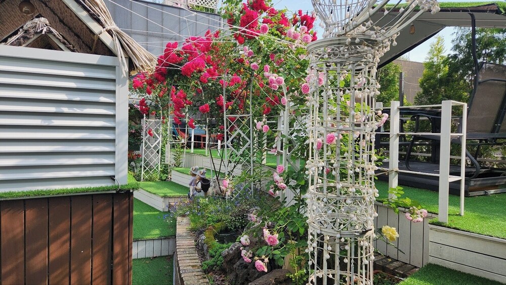 Rooftop terrace