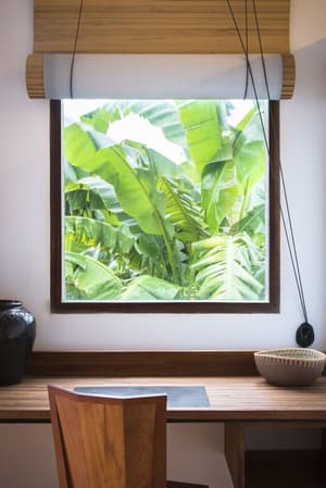 thumbnail: Garden view