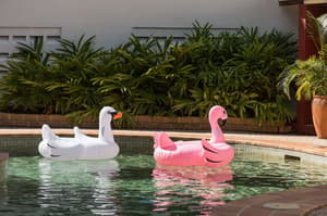 thumbnail: Exercise/lap pool