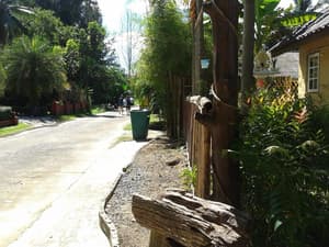 thumbnail: Property grounds