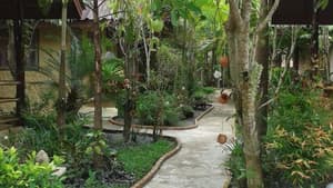 thumbnail: Property grounds